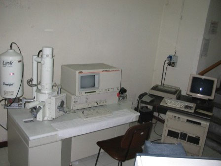 Microscopio Elettronico a Scansione Jeol JSM 5310 e microanalisi EDS Oxford INCA