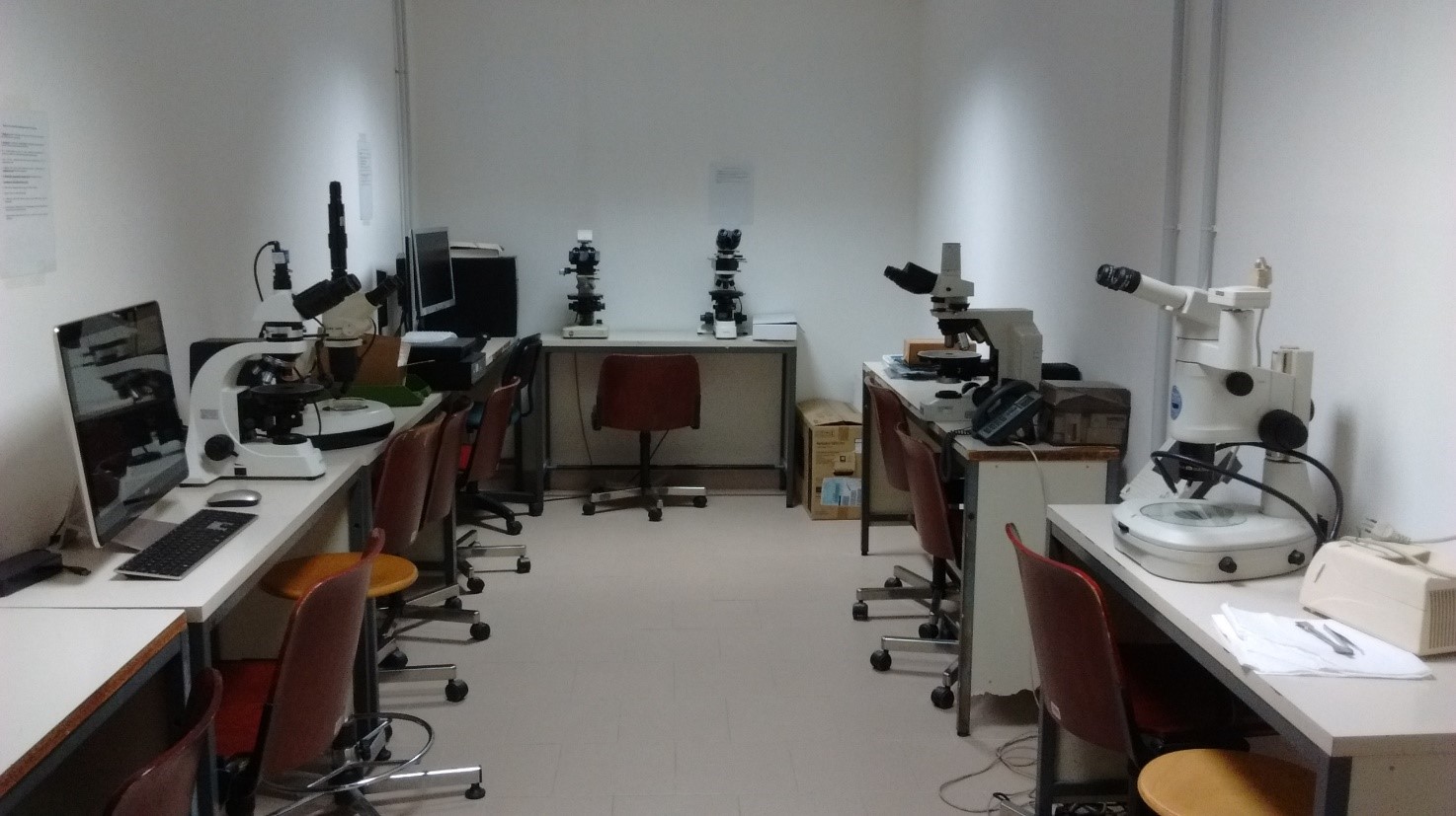 Optical Microscopy 1 