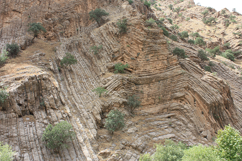 Tectonics, Structural Geology and related Hazards