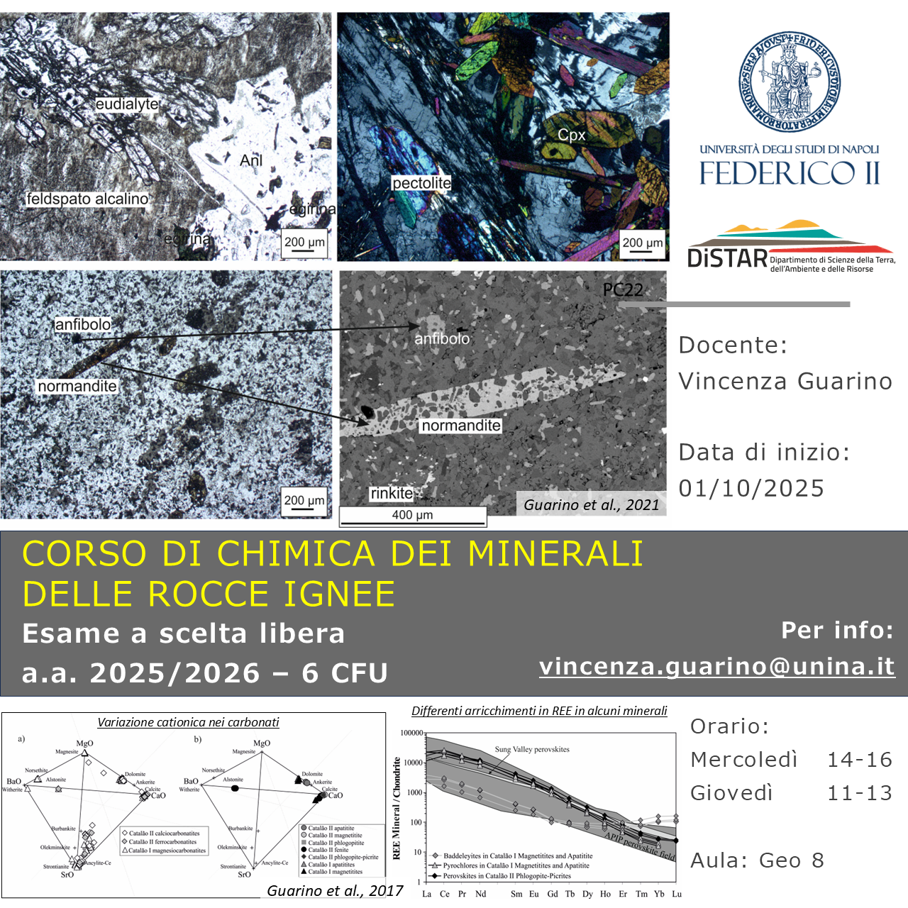 CHIMICA DEI MINERALI DELLE ROCCE IGNEE Vincenza Guarino