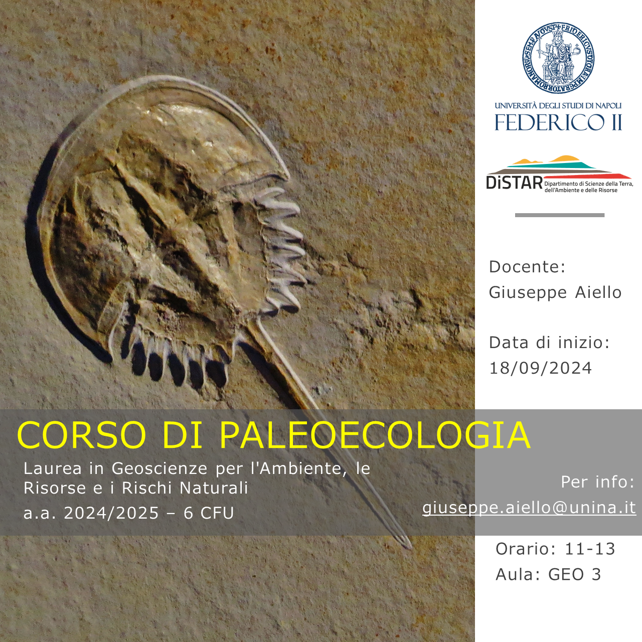 Paleoecologia Aiello Template locandina Corsi DiSTAR 2024