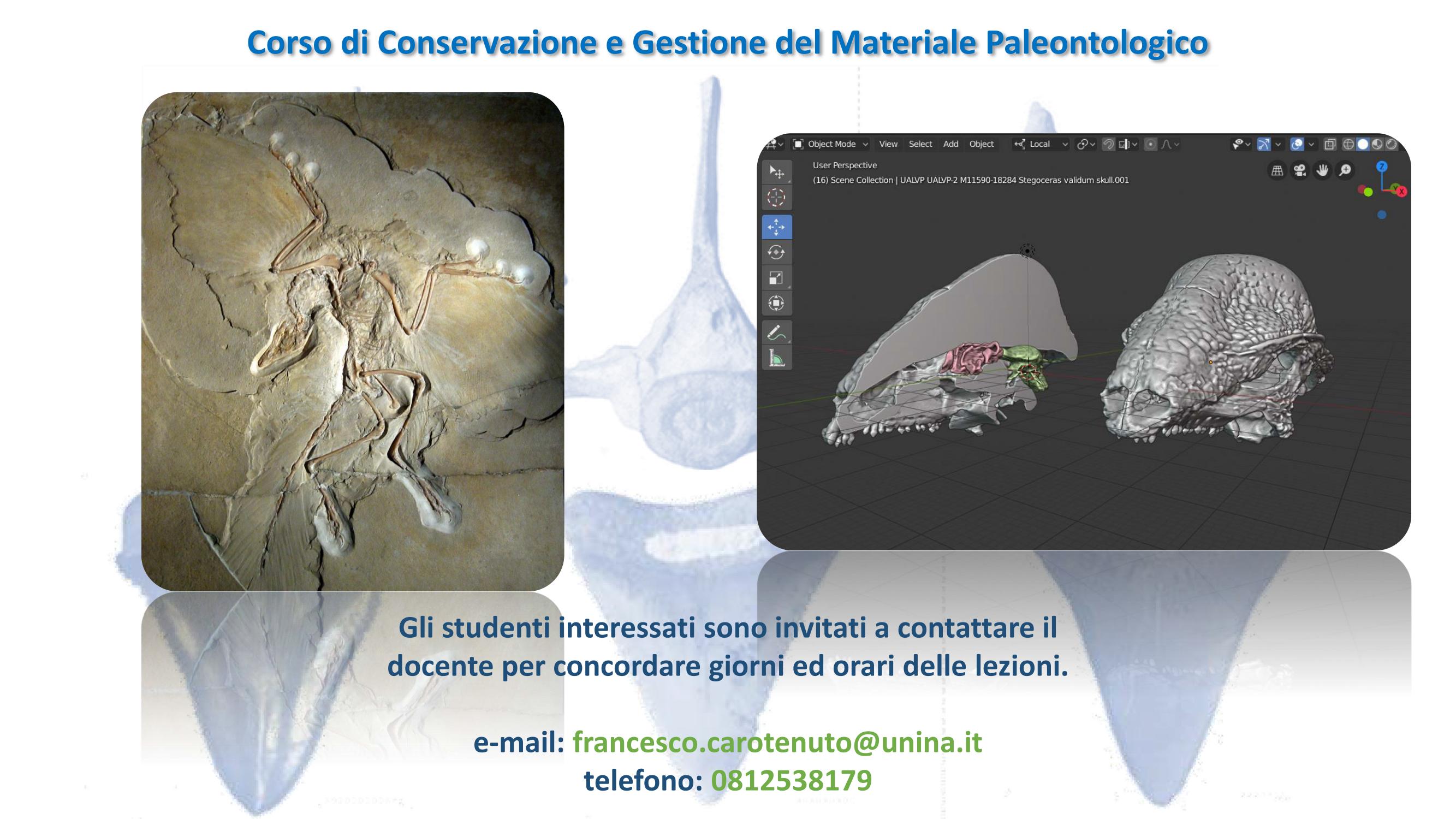 Locandina Conservazione Carotenuto 2021