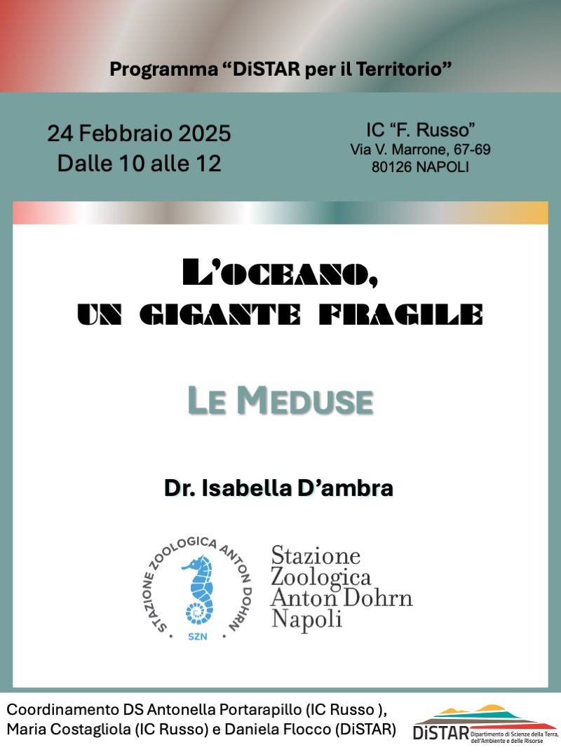 Le meduse