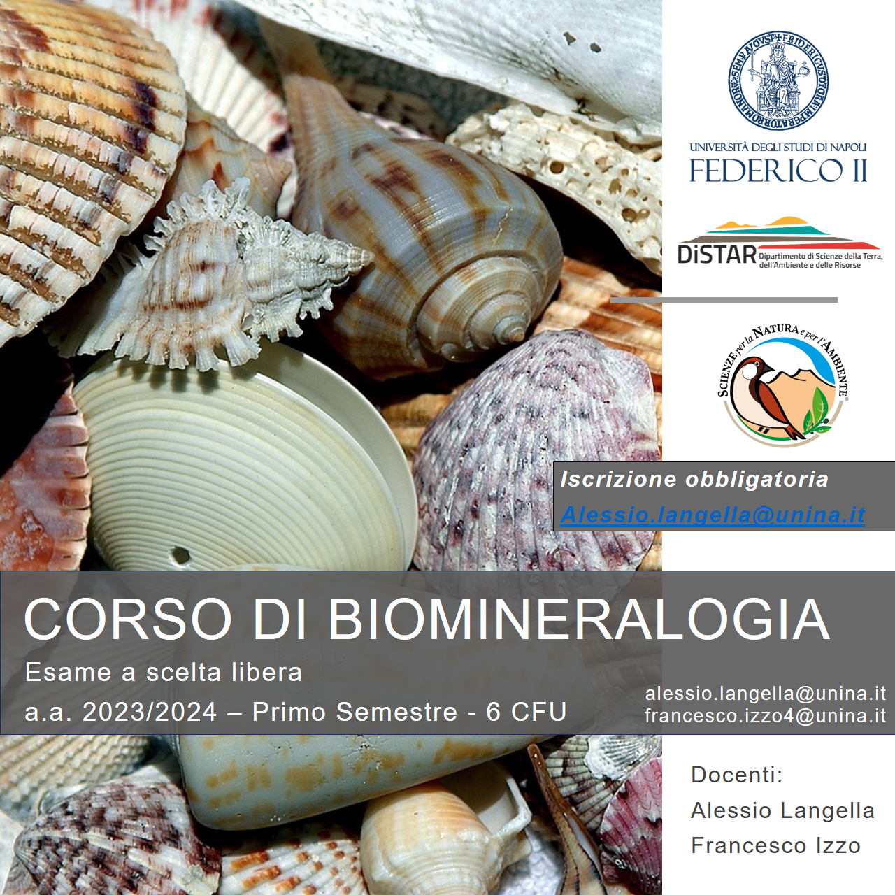 biomineralogia